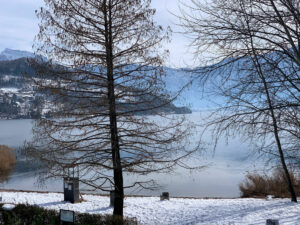 See im Schnee